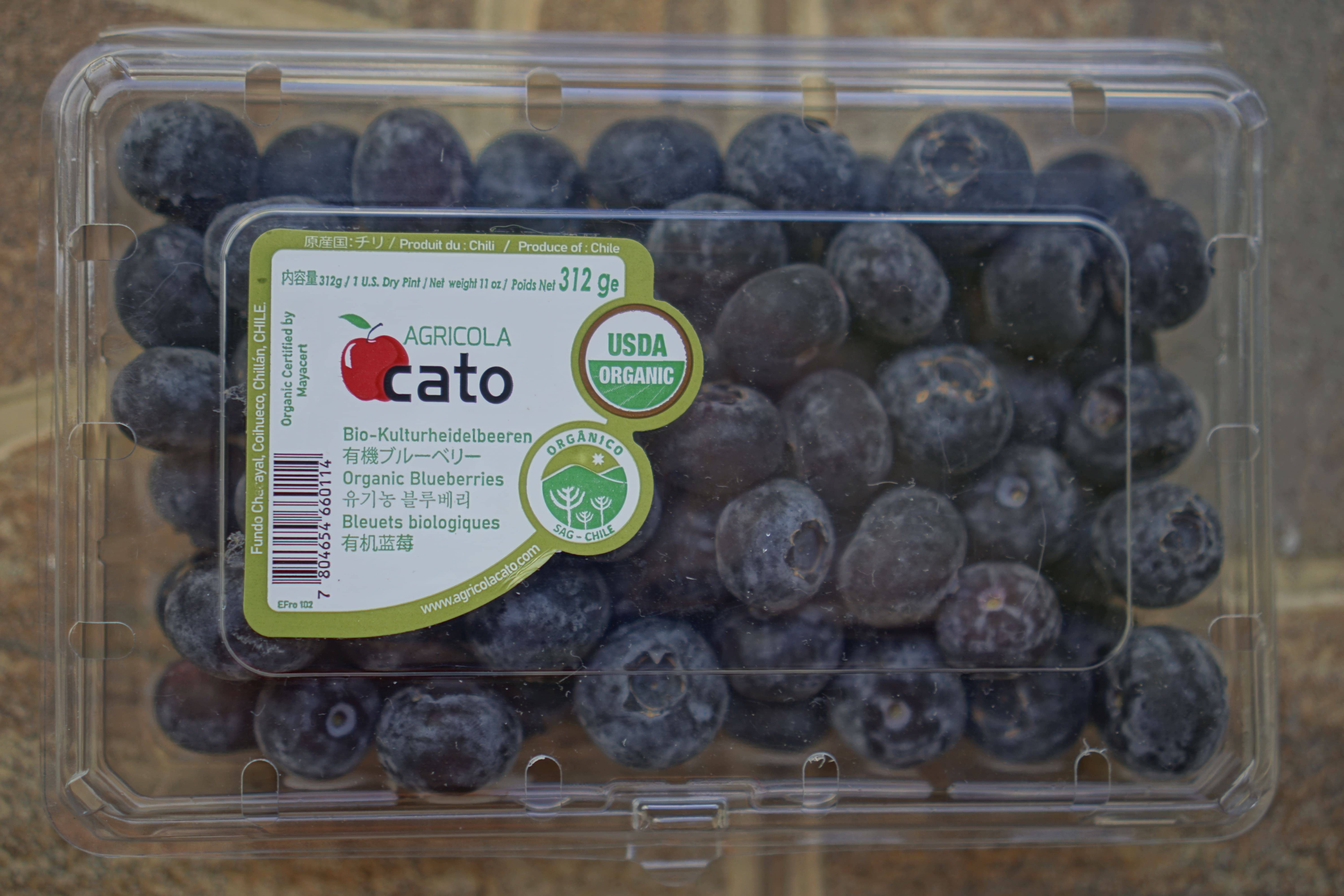 Fresh Organic Blueberries